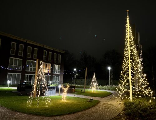 Optreden Kerstmarkt Huize Molenveld